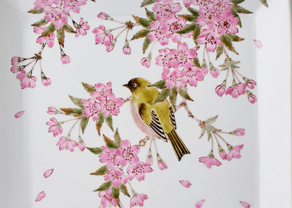 九谷焼【山田義明作】さくらに鳥角皿