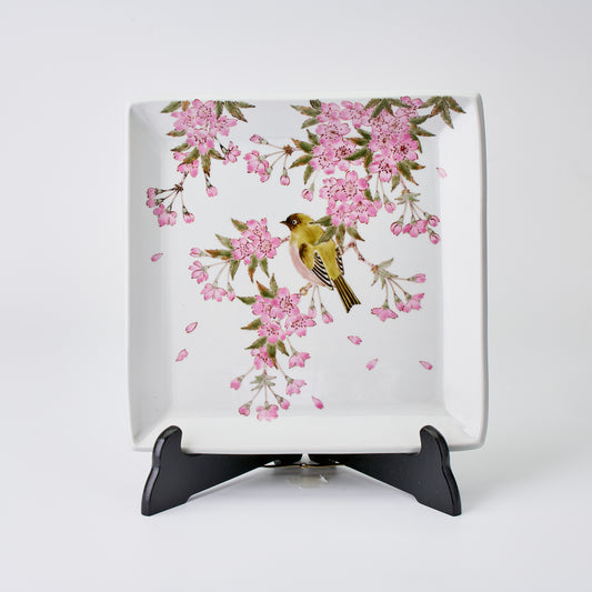 九谷焼【山田義明作】さくらに鳥角皿